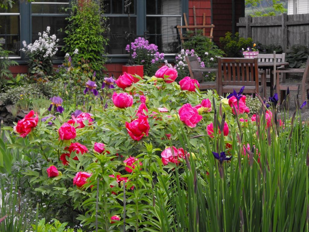 Bed & Breakfast Bailey House 4*